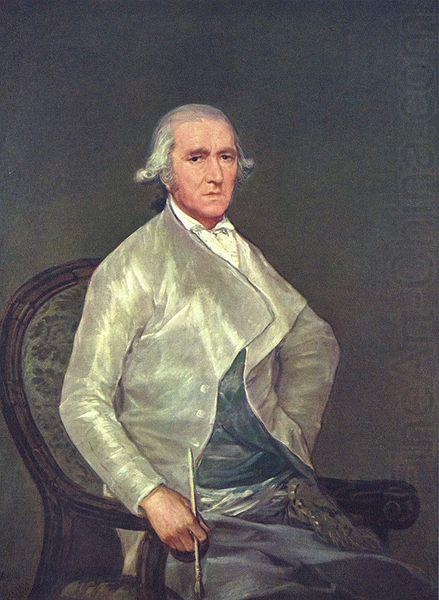 Francisco de Goya Portrat des Francisco Bayeu china oil painting image